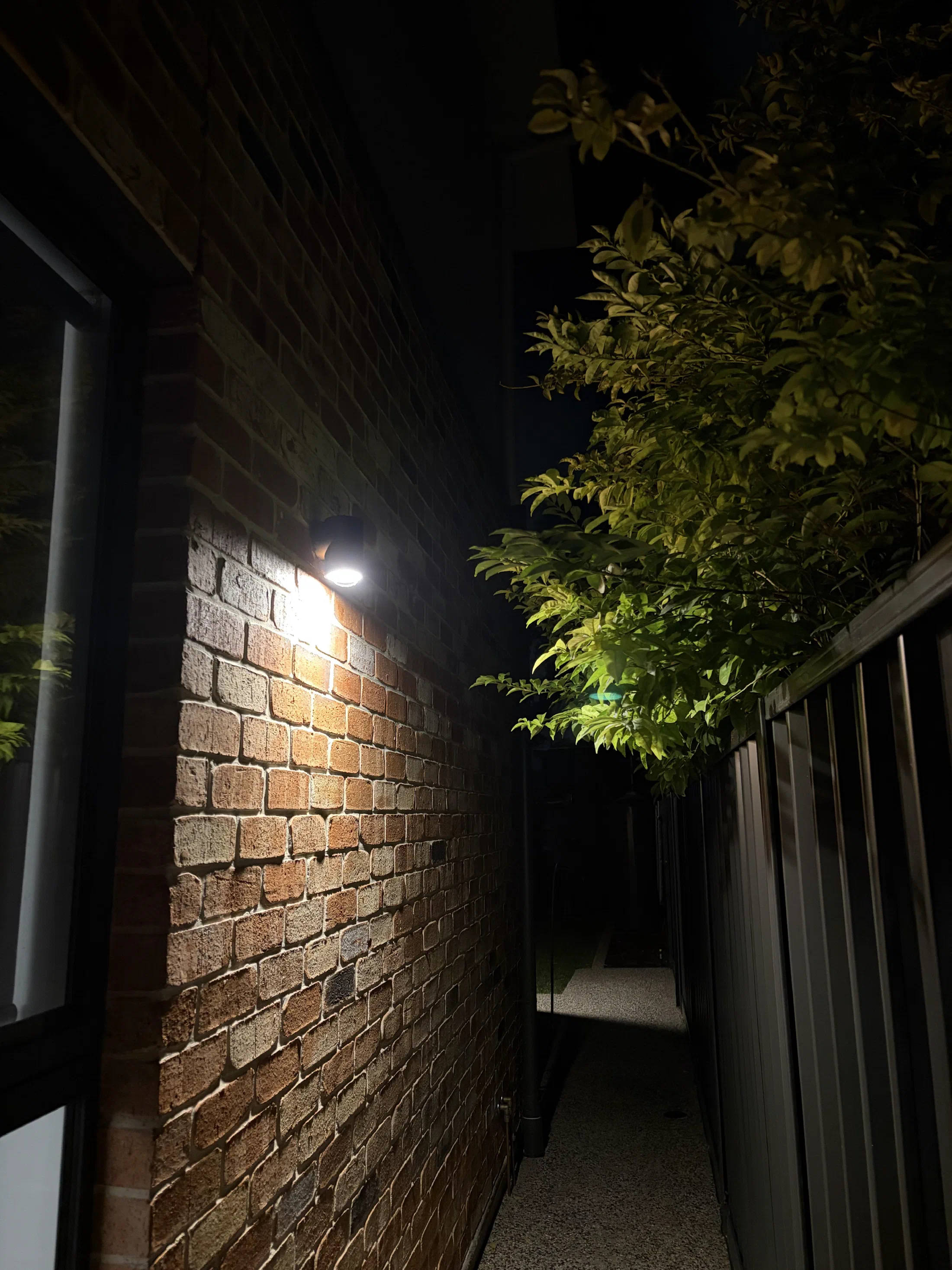 Exterior wall light illuminating a brick wall and garden at night